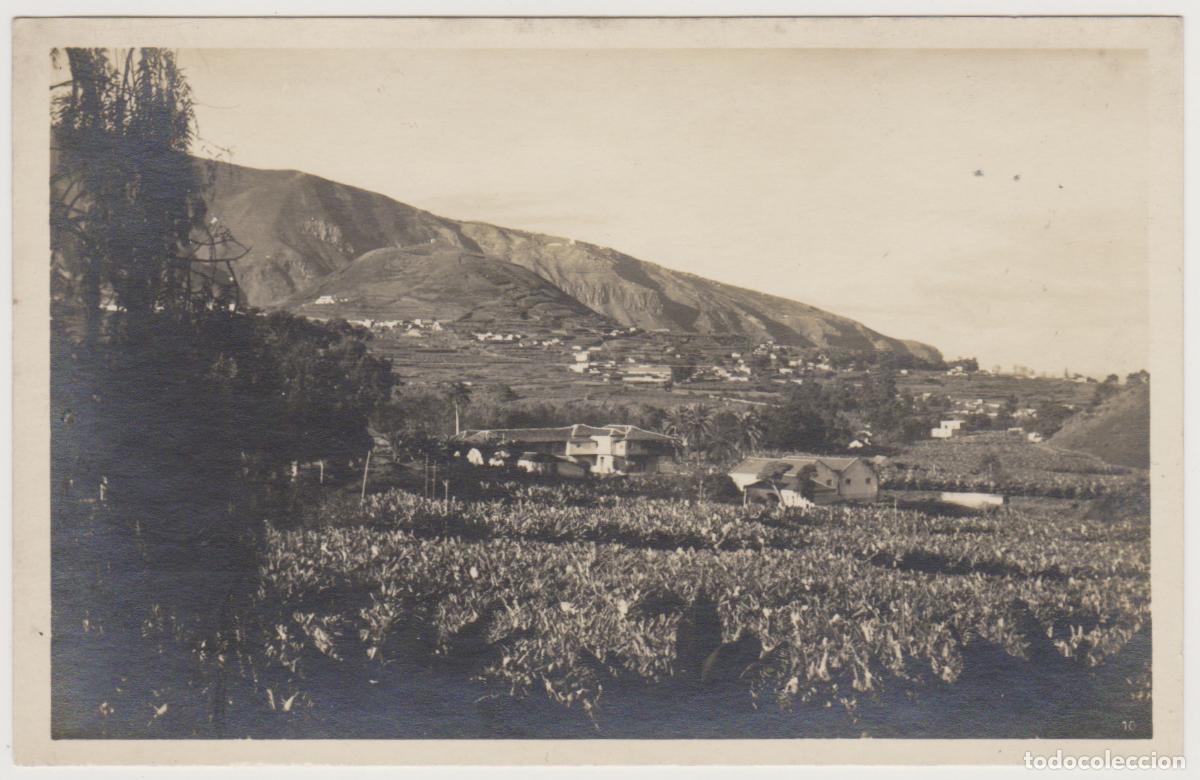Postkarten: TARJETA POSTAL - TENERIFE - VALLE DE OROTAVA - FOTO CENTRAL