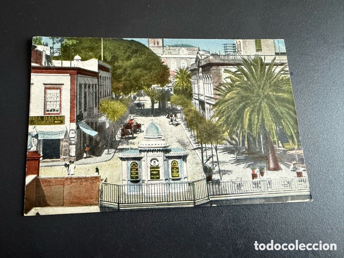 Postales: Postal. LAS PALMAS. Calle MURO