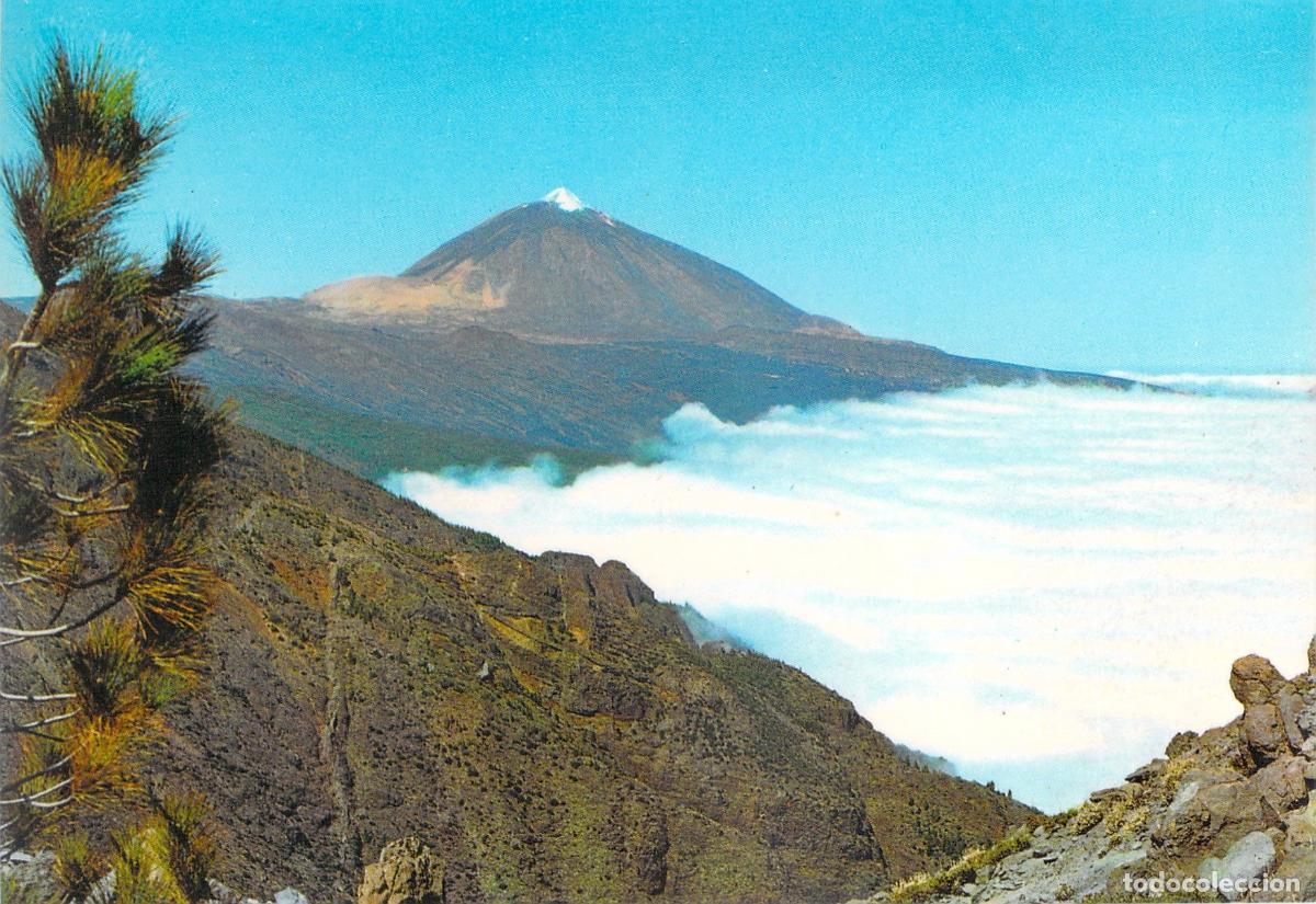 Postales: Postal de Tenerife - El Teide y Mar de Nubes, Ediciones Gasteiz