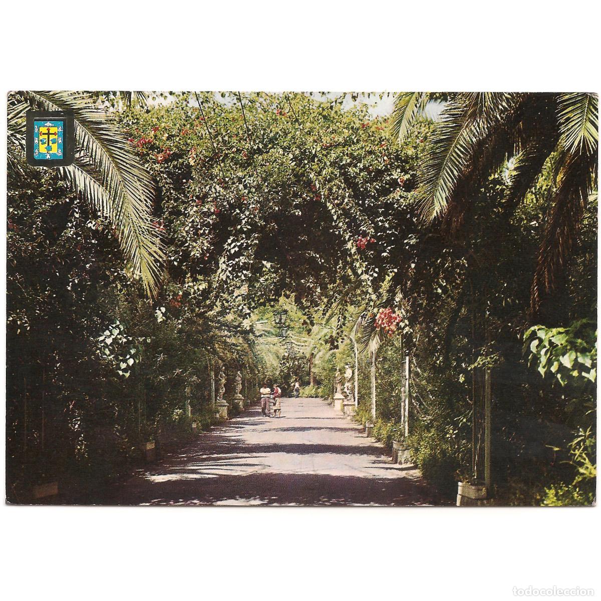 Postales: PASEO PARQUE MUNICIPAL GARC&Iacute;A SANABRIA | ESCUDO DE ORO | Tenerife - Canarias