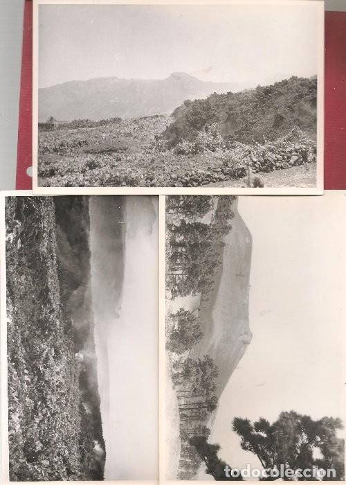 Postales: 3 fotograf&iacute;a original A&Ntilde;OS 50 , ERUPCI&Oacute;N VOLCAN EN CANARIAS. .