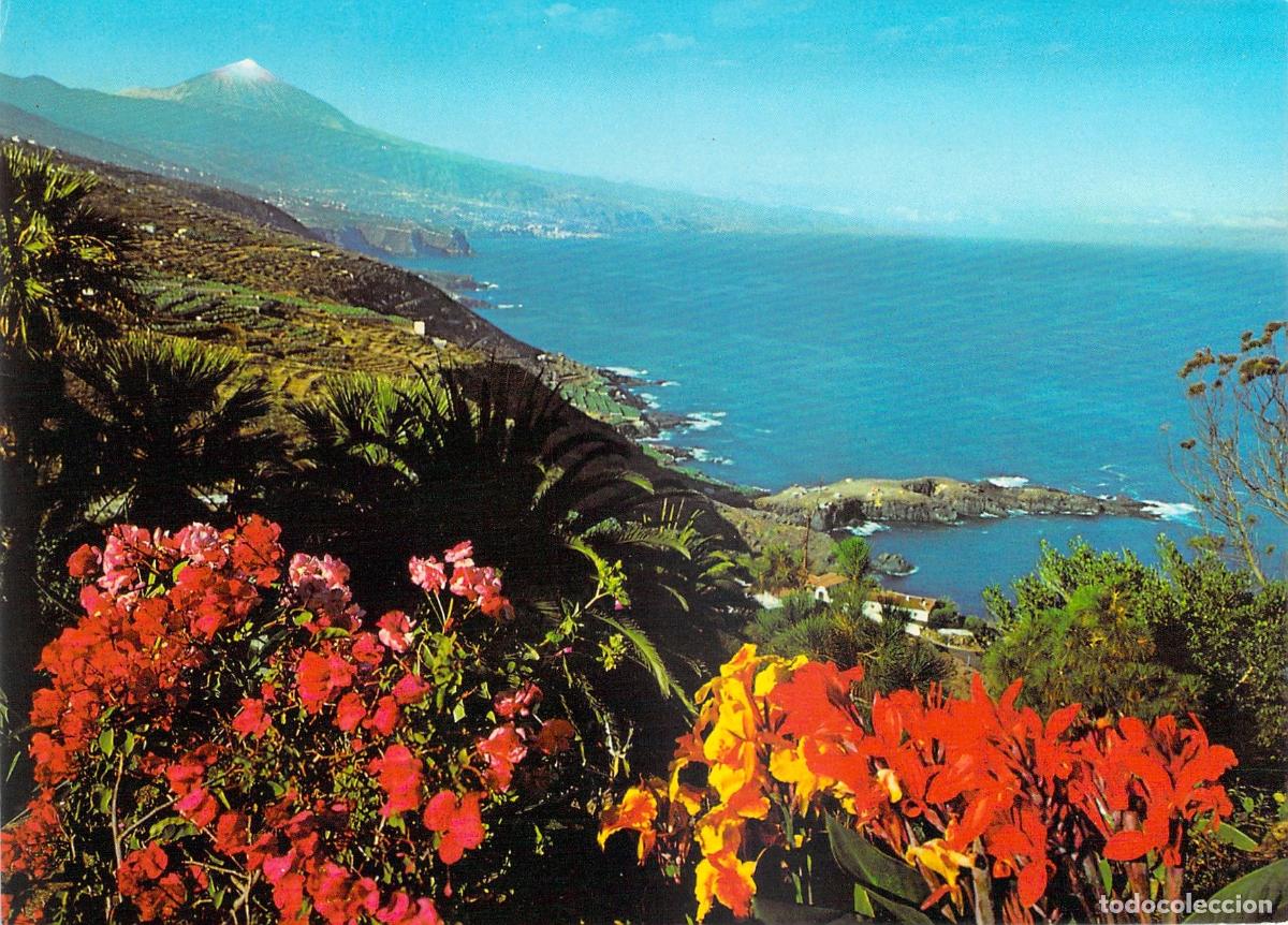 Postales: Postal de la Costa del Norte y el Monte Teide en Tenerife