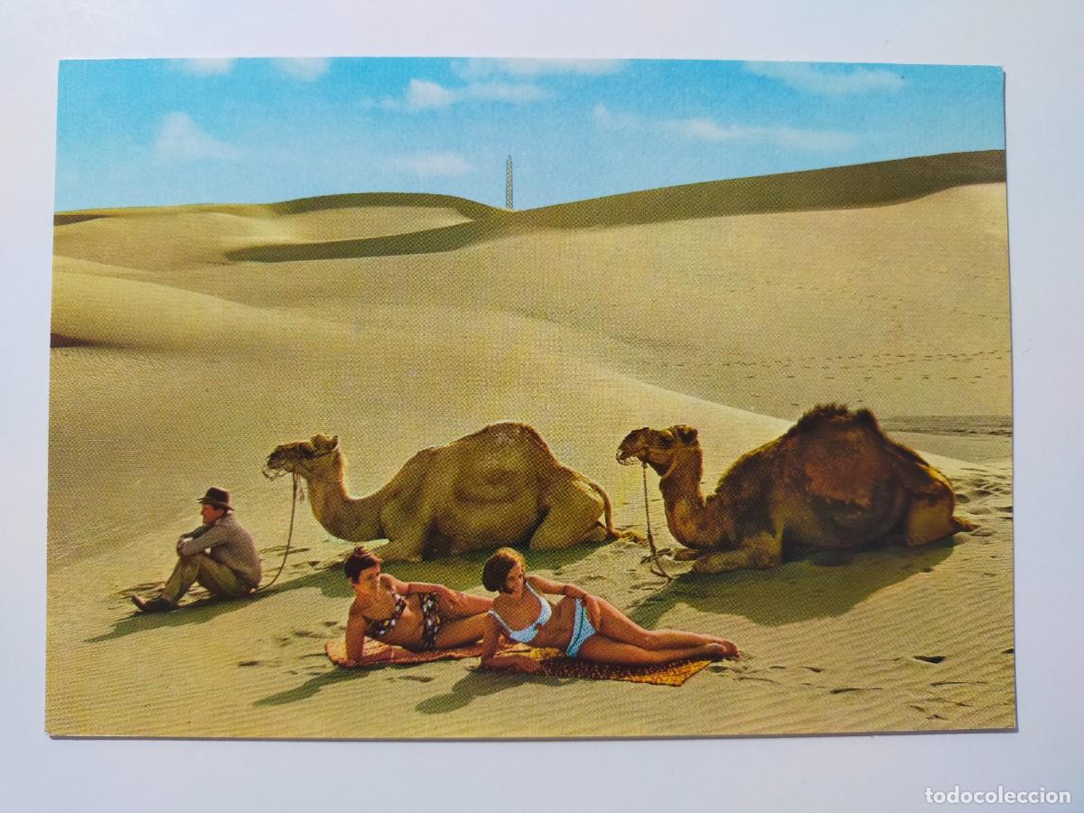 Postales: Tarjeta Postal. MASPALOMAS (GRAN CANARIA): Turistas en el Desierto - Edit Kruger - Escrita.
