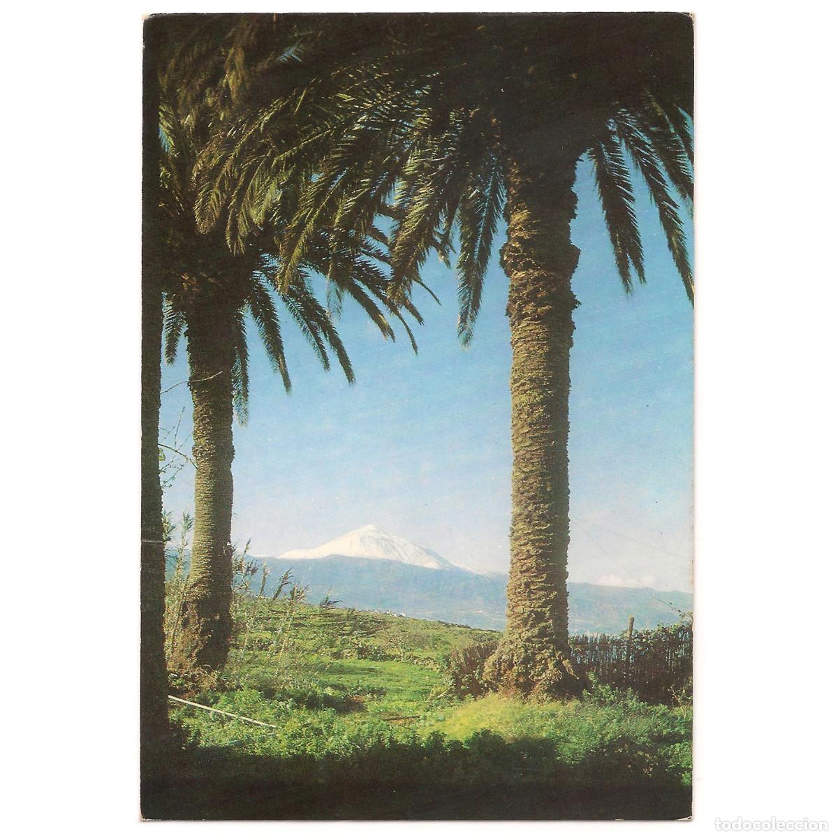 Postales: TENERIFE - EL TEIDE DESDE EL SAUZAL | EDICIONES BERGAS | Tenerife - Canarias