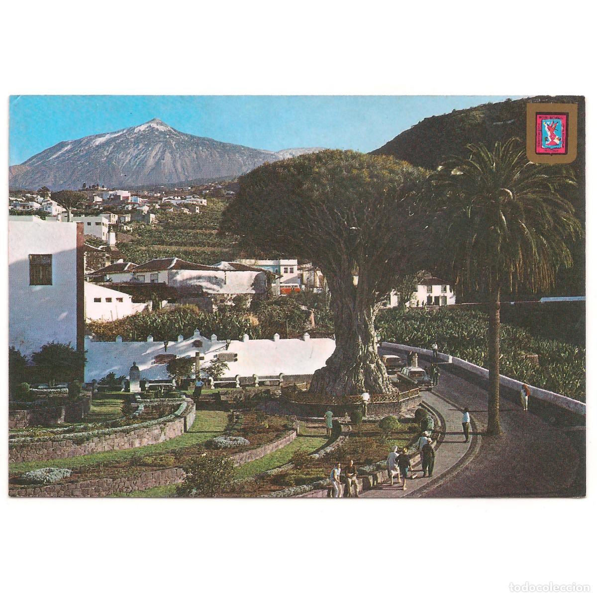 Postales: TENERIFE - ICOD DE LOS VINOS - DRAGO MILENARIO | EDICIONES FISA | Tenerife - Canarias
