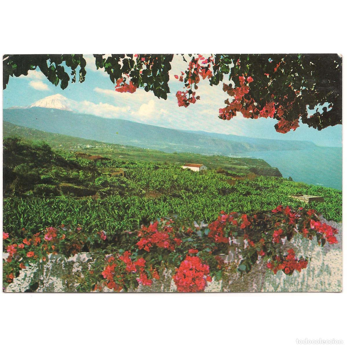 Postales: TENERIFE - VALLE DE LA OROTAVA Y TEIDE AL FONDO | EDICIONES RO - FOTO | Tenerife - Canarias