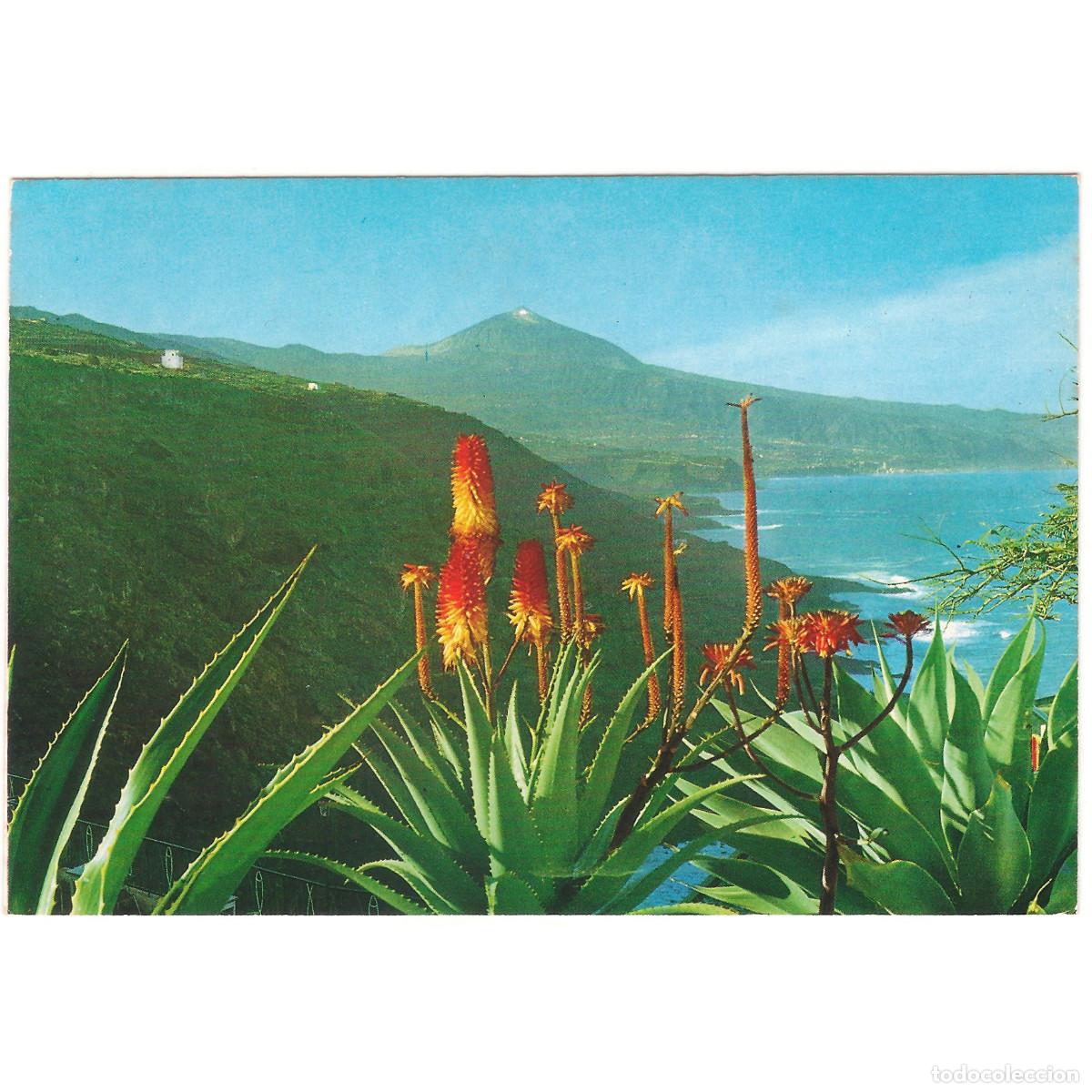 Postales: TENERIFE - FLORES Y EL TEIDE | EDICIONES GASTEIZ | Tenerife - Canarias