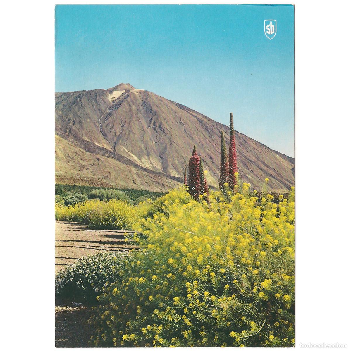 Postales: TENERIFE - FLORA DEL PICO DEL TEIDE | EDICIONES SEIX BARRAL | Tenerife - Canarias