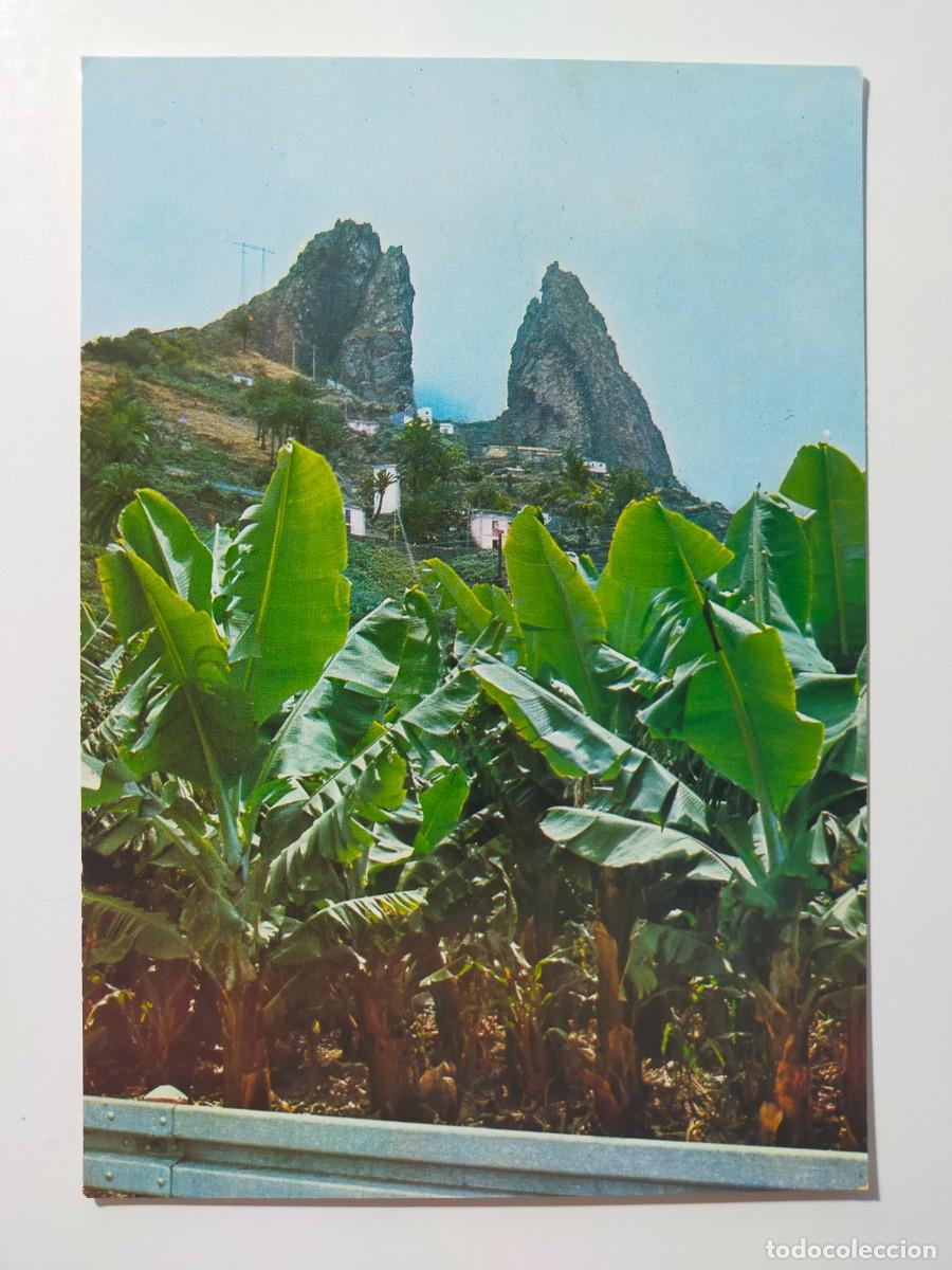 Postales: Tarjeta Postal. GOMERA (GRAN CANARIA): Valle de Hermigua - Edic. Yayo