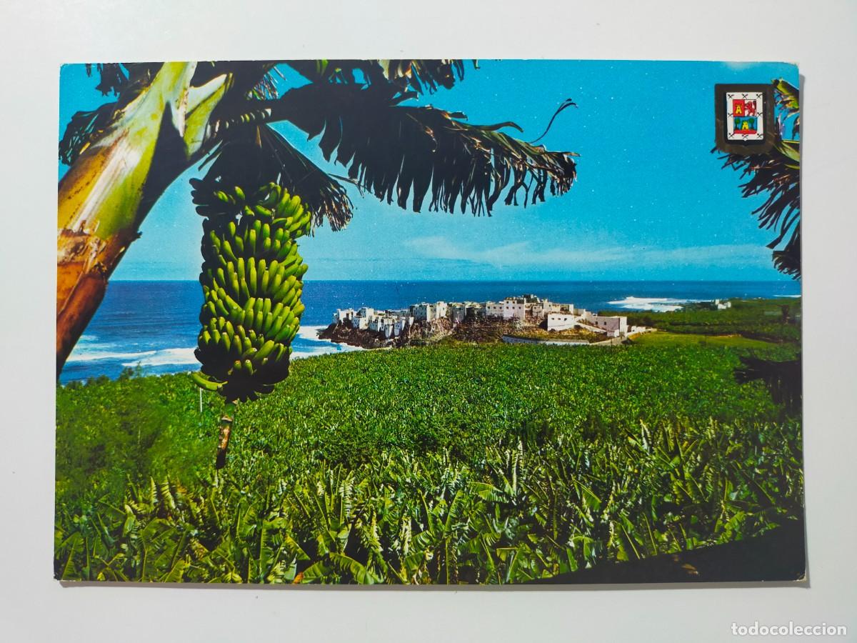 Postales: Tarjeta Postal. GRAN CANARIA: Plataneras - Edic FISA, Escudo de Oro - Escrita.