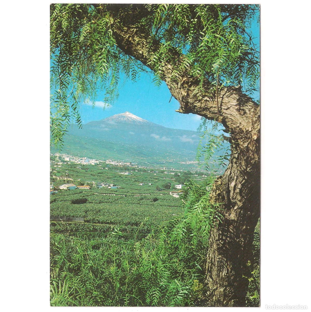 Postales: TENERIFE - VALLE DE LA OROTAVA - EL TEIDE | EDICIONES BERGAS | Tenerife - Canarias
