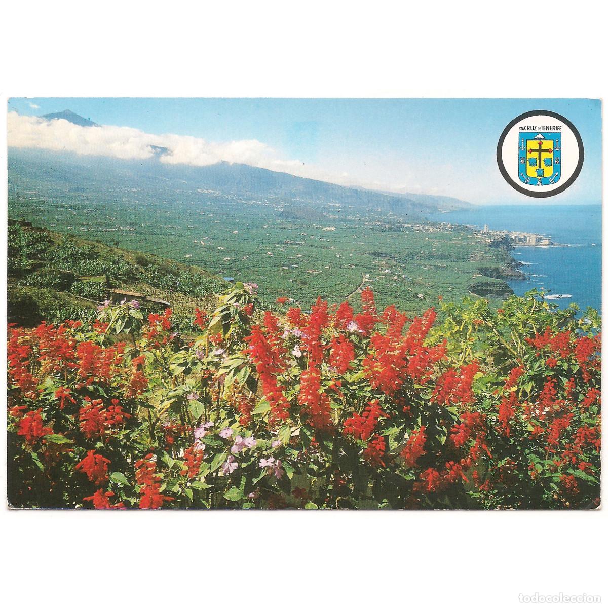 Postales: TENERIFE - VALLE DE LA OROTAVA Y PUERTO DE LA CRUZ | EDICIONES BERGAS | Tenerife - Canarias