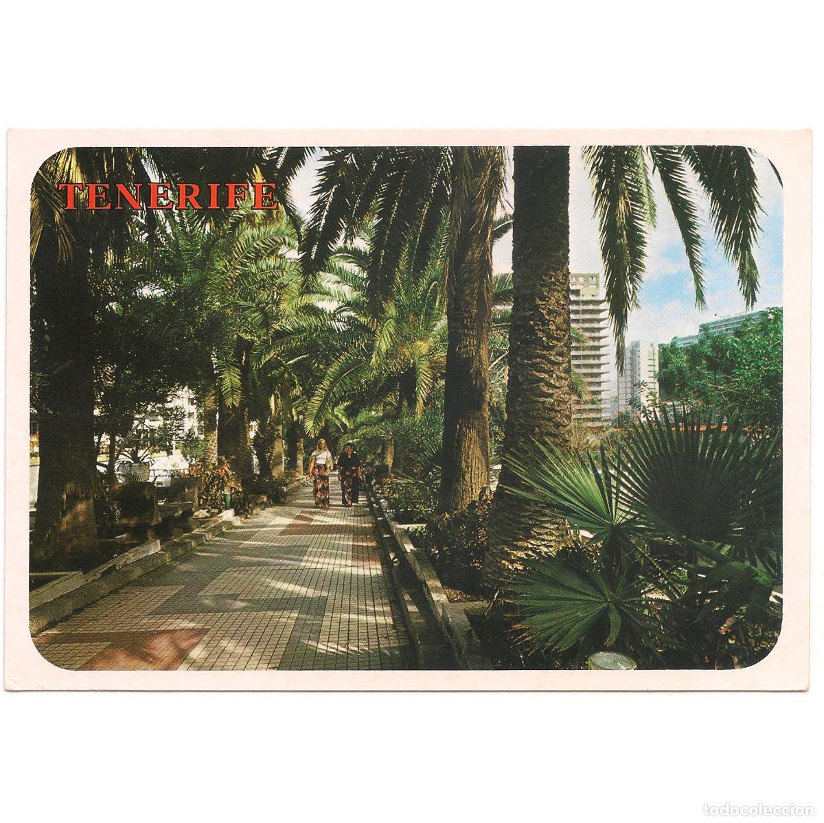 Postales: PUERTO DE LA CRUZ - PASEO DE LAS PALMERAS | EDICIONES PAGSA | Tenerife - Canarias