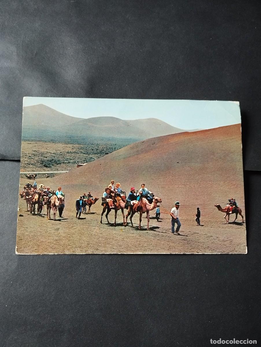 Postales: POSTAL DE LANZAROTE CARAVANA DE CAMELLOS - LA DE LA FOTO VER TODAS MIS POSTALES