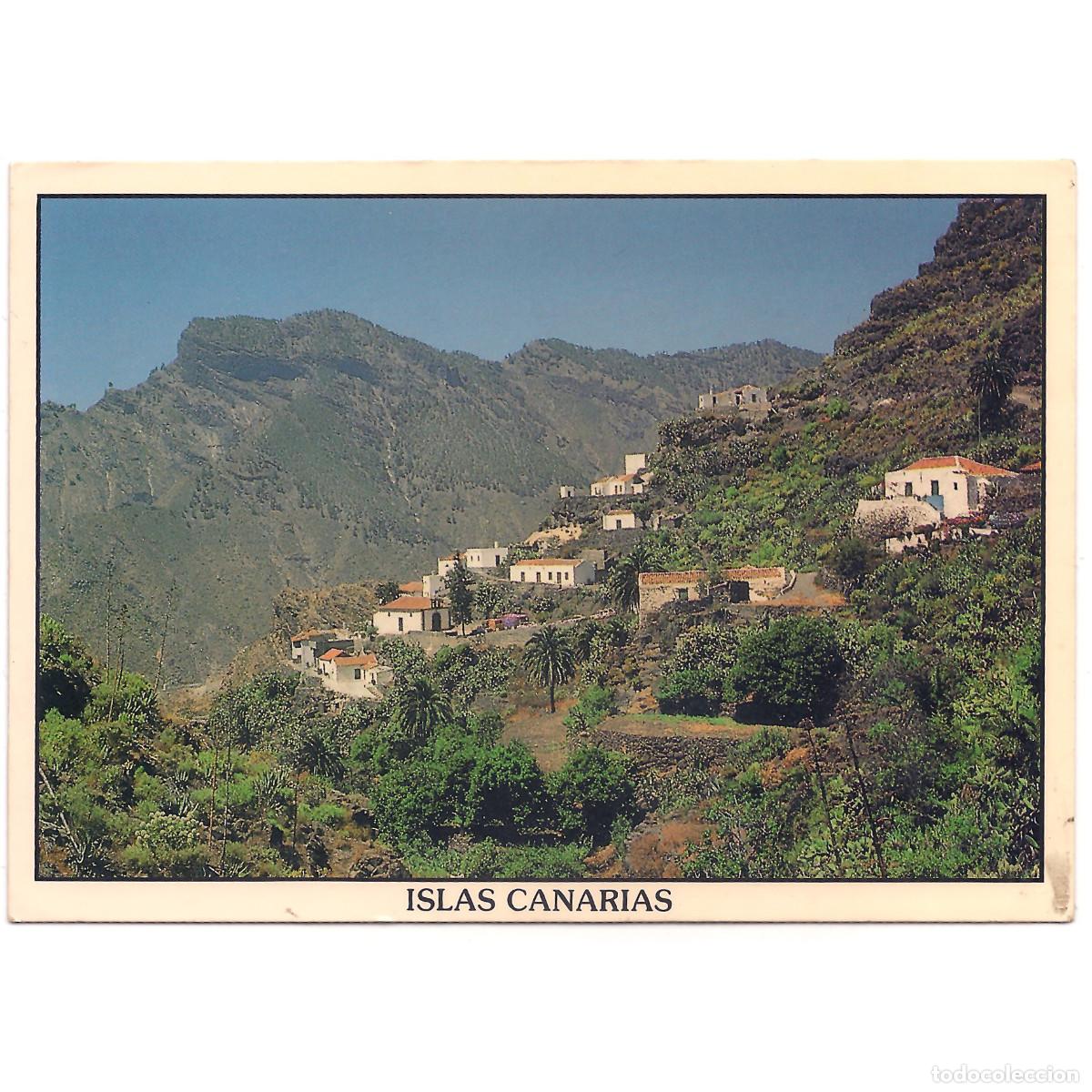Postales: ISLAS CANARIAS - CARERIZAL DE TEJEDA - GRAN CANARIA | JUAN SOCORRO | Tenerife - Canarias