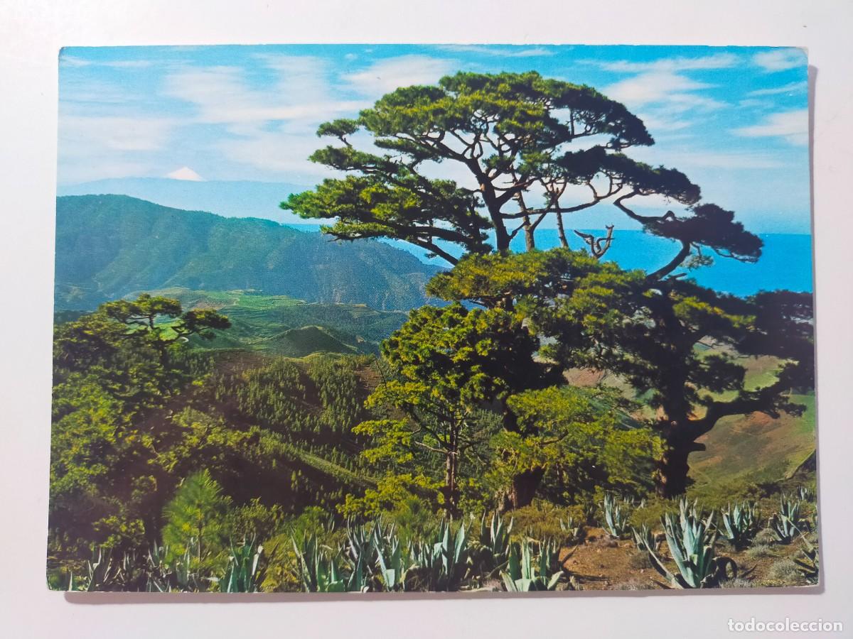 Postales: Postal. GRAN CANARIA: Vista de Tamadaba y Teide - Edic. Ro
