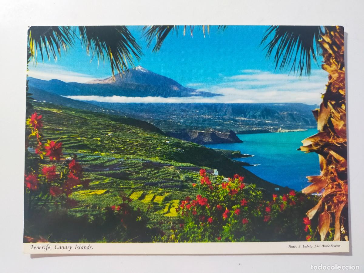 Postales: Postal. TENERIFE: Costa Norte, vista del Teide - Edit: John Hinde