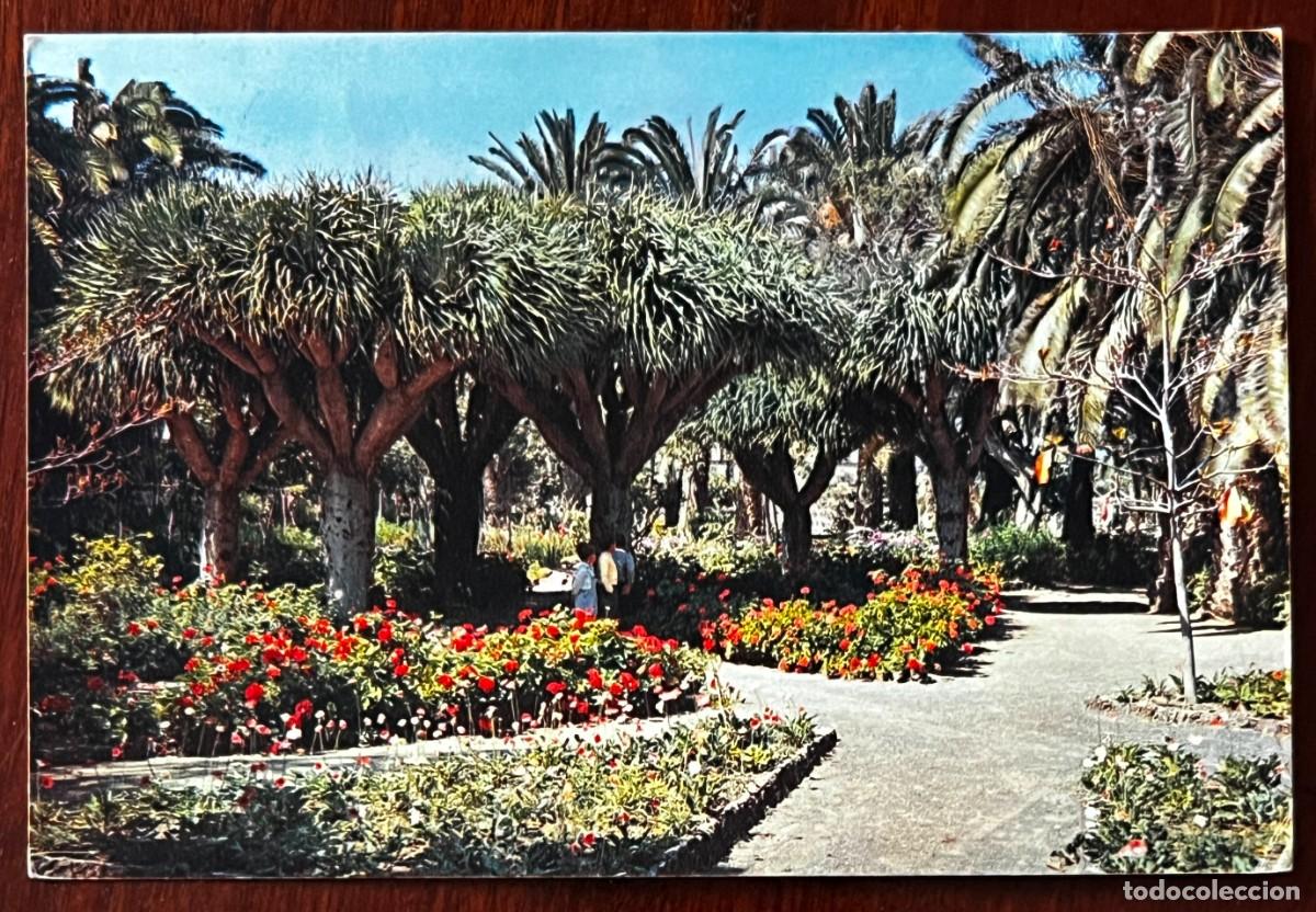 Postales: GRAN CANARIA, 1958, LAS PALMAS, PARQUE DORAMAS. 601 DIXON. circulada