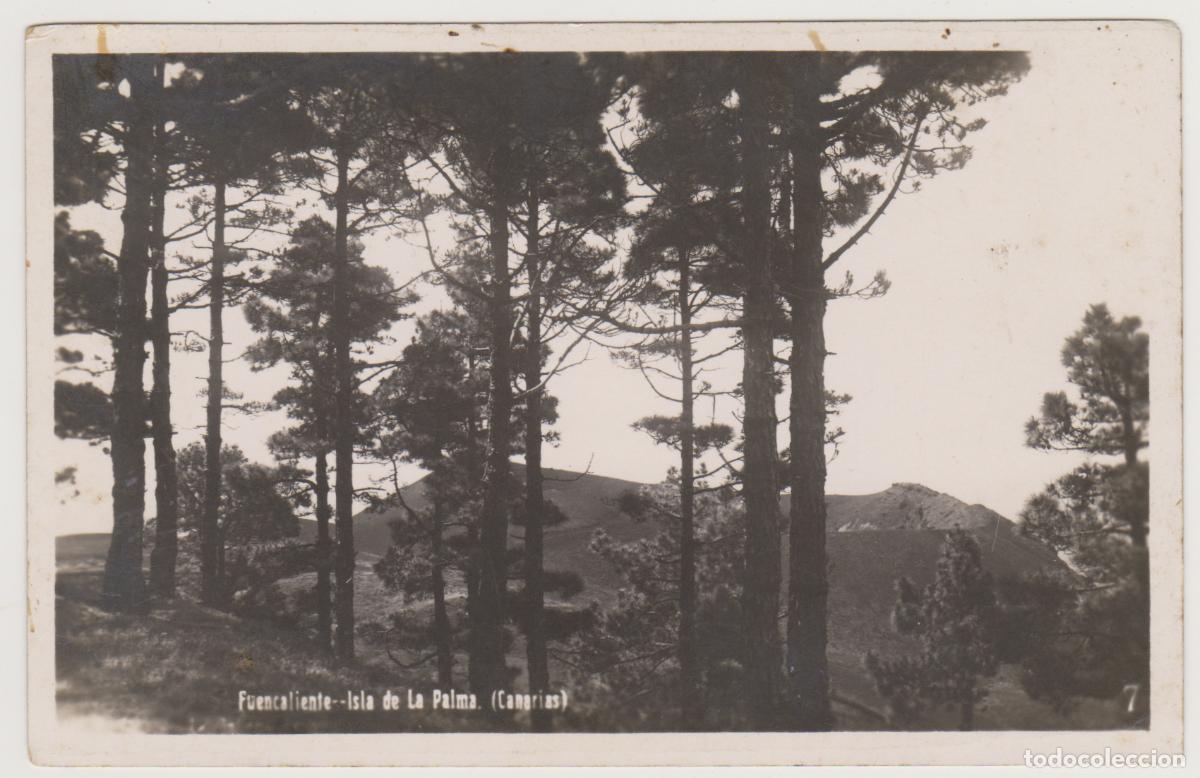 Postales: TARJETA POSTAL - ISLA DE LA PALMA (CANARIAS) - FUENCALIENTE - N&ordm; 7 - J. HERRERA