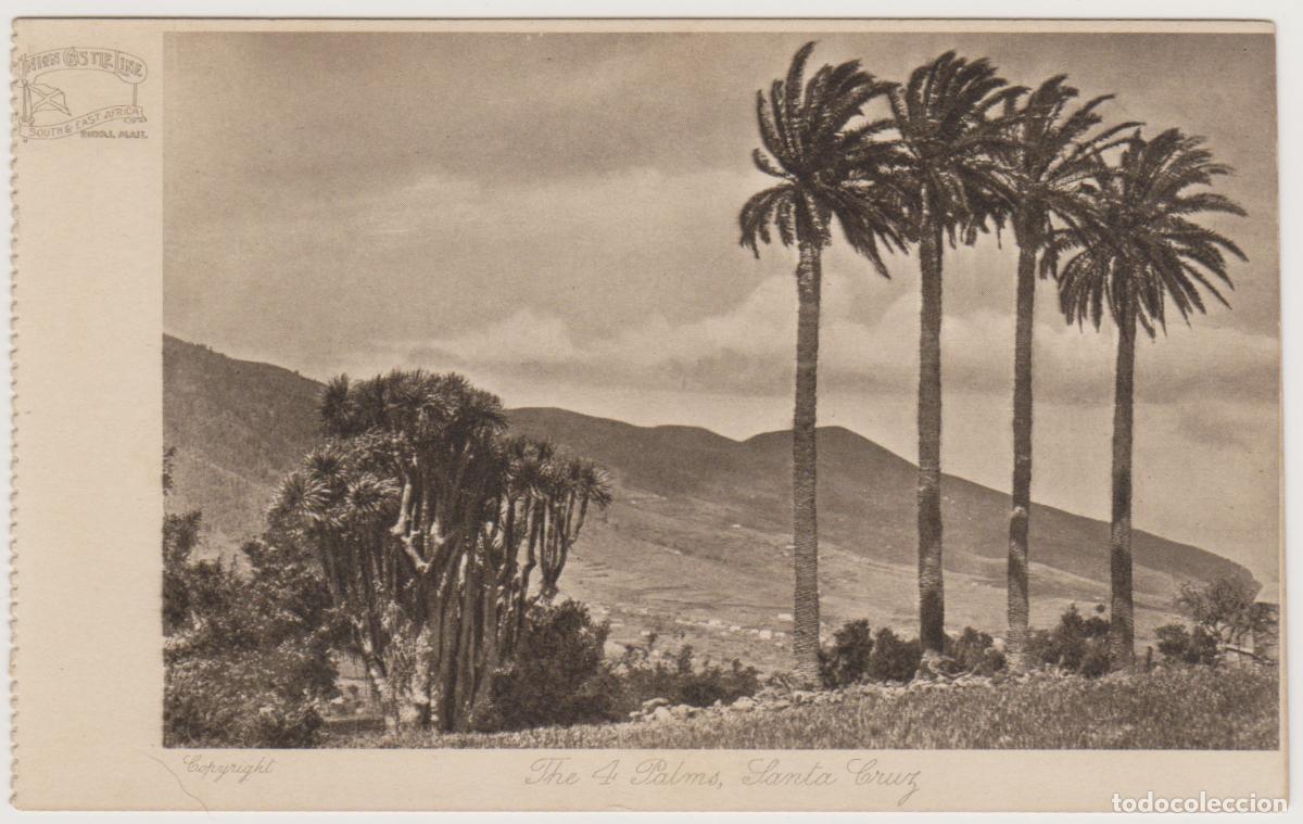 Postcards: TARJETA POSTAL - SANTA CRUZ - THE 4 PALMS