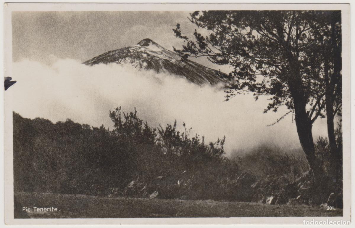 Postales: TARJETA POSTAL - TENERIFE - PIC - N&ordm; 301 - FOTO CENTRAL