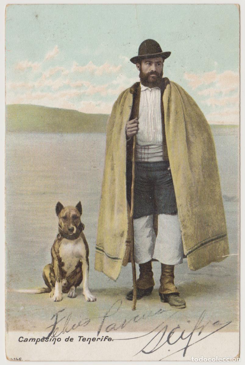 Postales: TARJETA POSTAL - CAMPESINOS DE TENERIFE