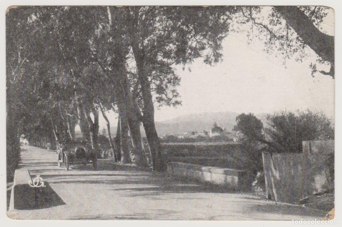 Postales: TARJETA POSTAL - TENERIFE - LA LAGUNA - CARRETERA DE TEJINA