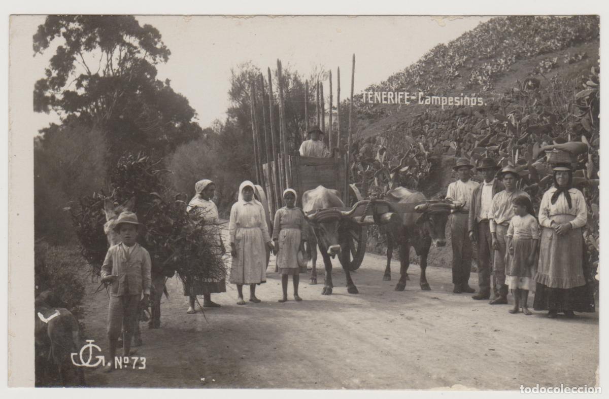 Postales: TARJETA POSTAL - TENERIFE - CAMPESINOS - N&ordm; 73 - JG