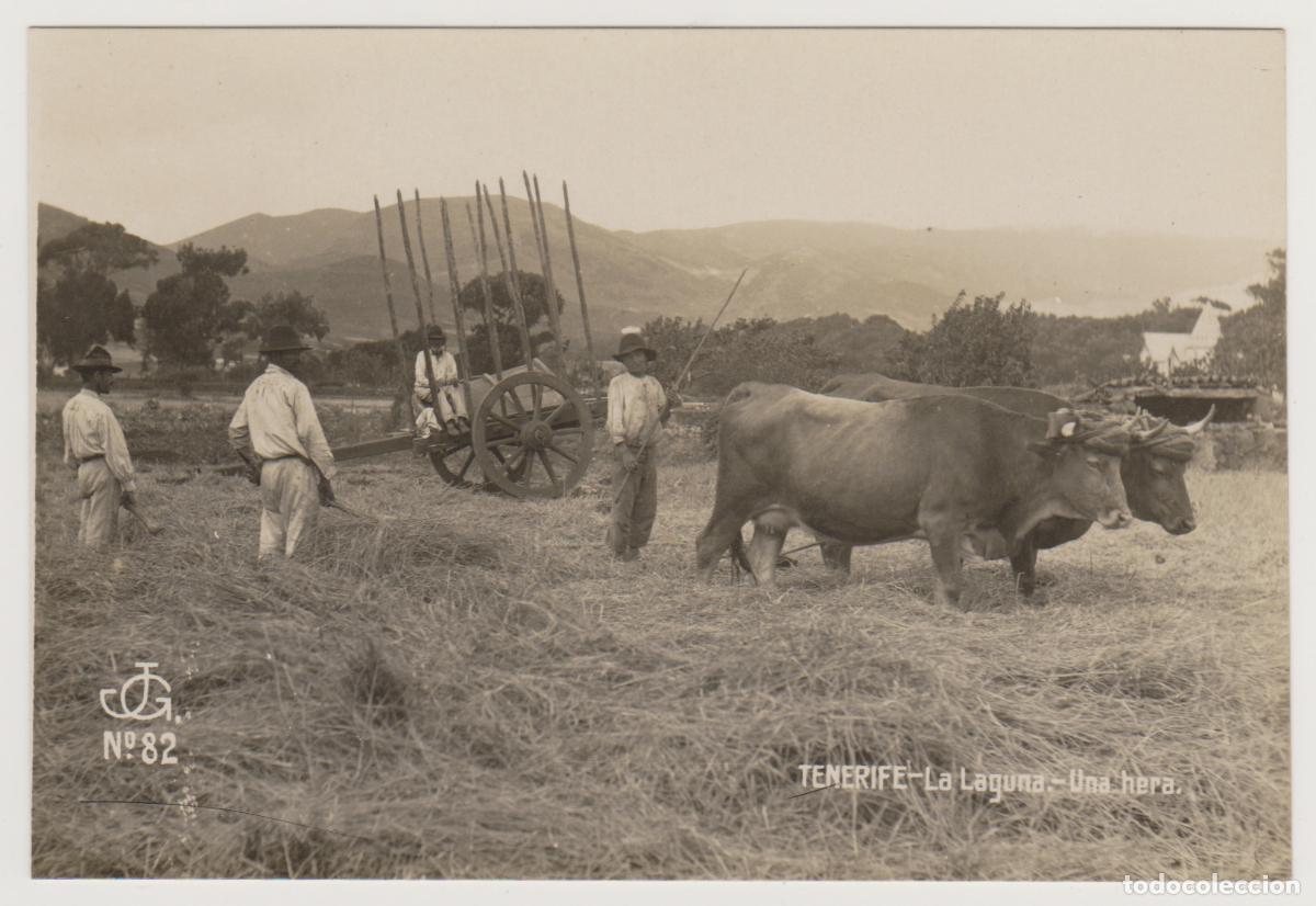 Postales: TARJETA POSTAL - TENERIFE - LA LAGUNA - UNA HERA - N&ordm; 82 - JG