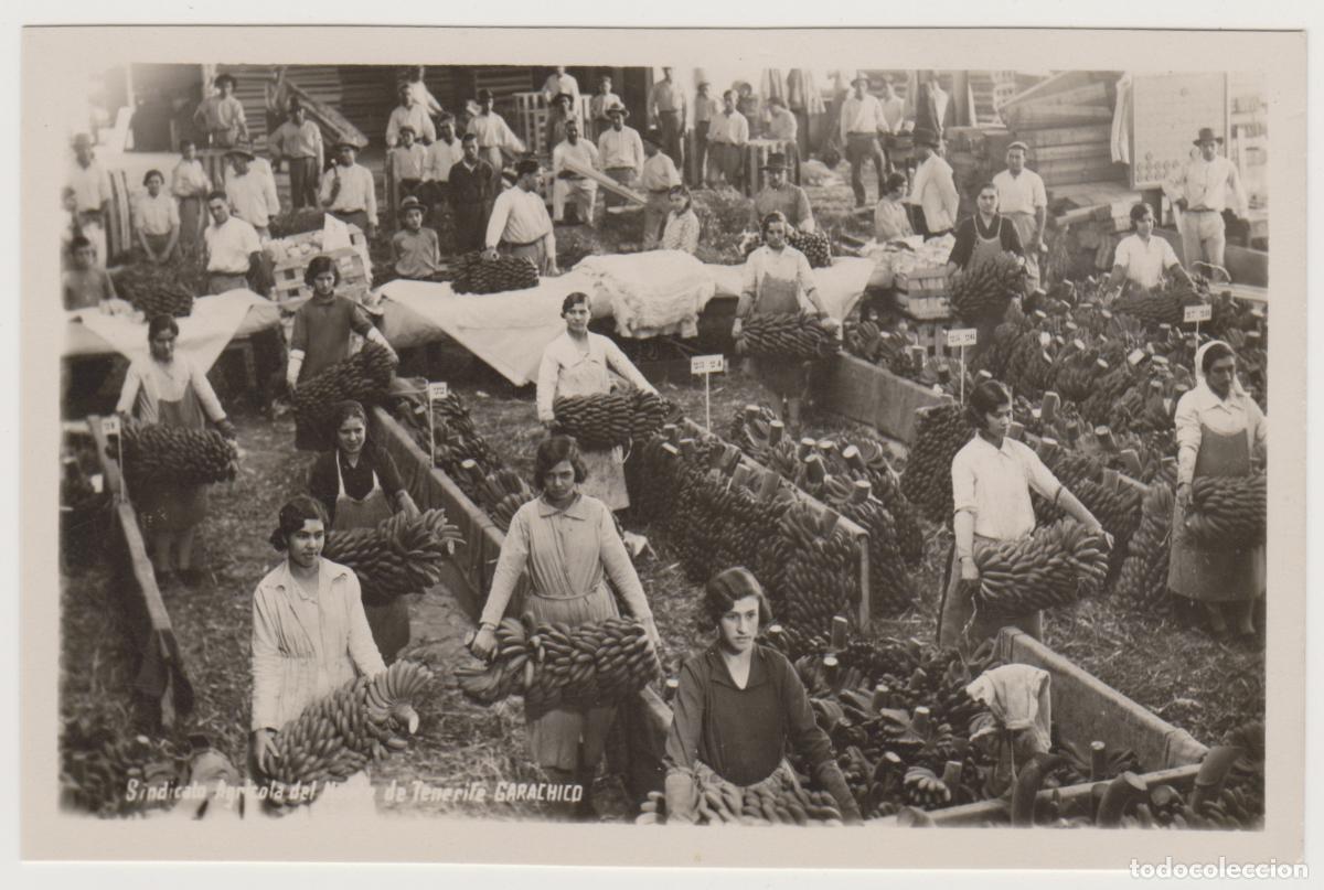 Postales: TARJETA POSTAL - TENERIFE - GARACHICO - SINDICATO AGRICOLA - FOTO BAENA