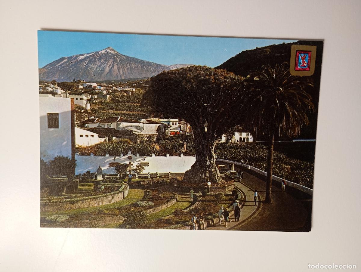 Postales: POSTAL DE BARCELONA. DRAGO MILENARIO. TENERIFE. TDKP29M