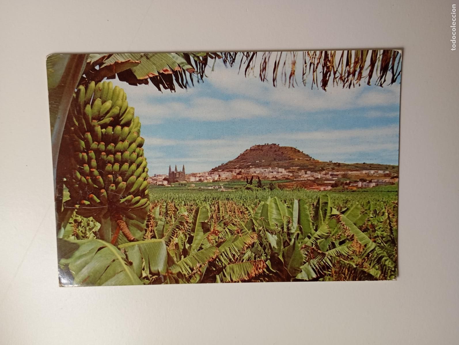 Postales: POSTAL DE GRAN CANARIA. ARUCAS. TDKP29M