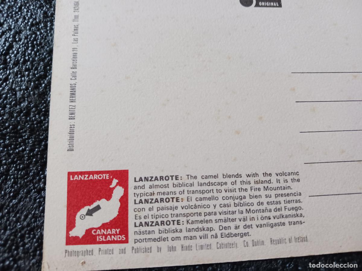 Postales: camellos en lanzarote - Foto 2