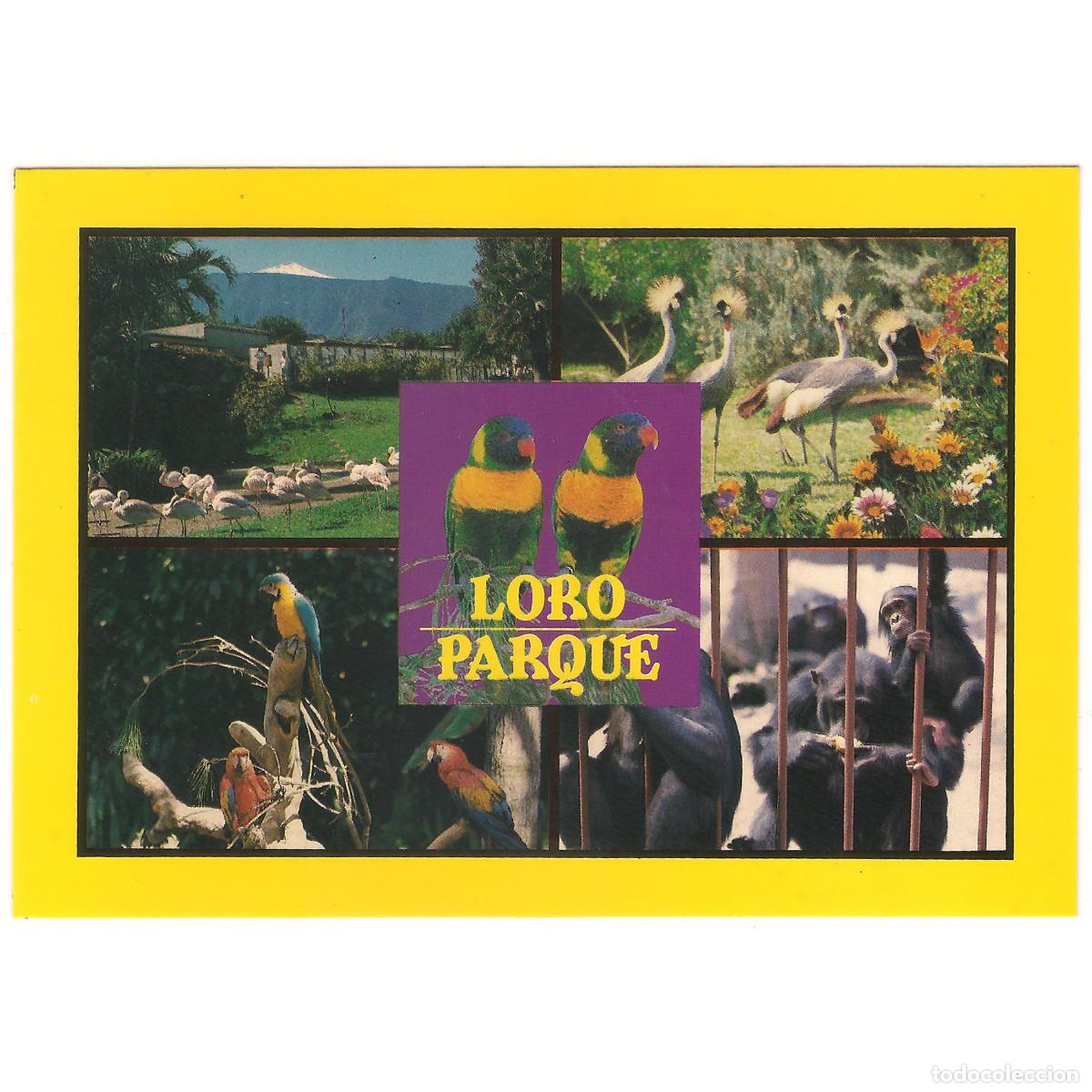 Postales: 166 - PUERTO DE LA CRUZ - LORO PARQUE - TENERIFE | Tenerife - Canarias