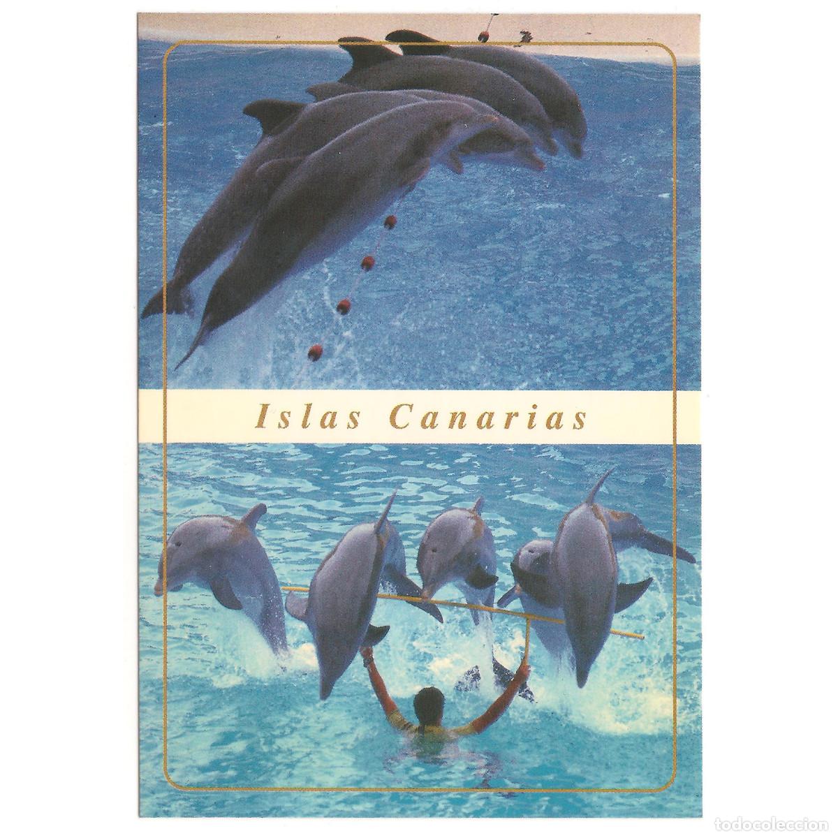 Postales: 415 - PUERTO DE LA CRUZ - LORO PARQUE - DELFINES | Tenerife - Canarias