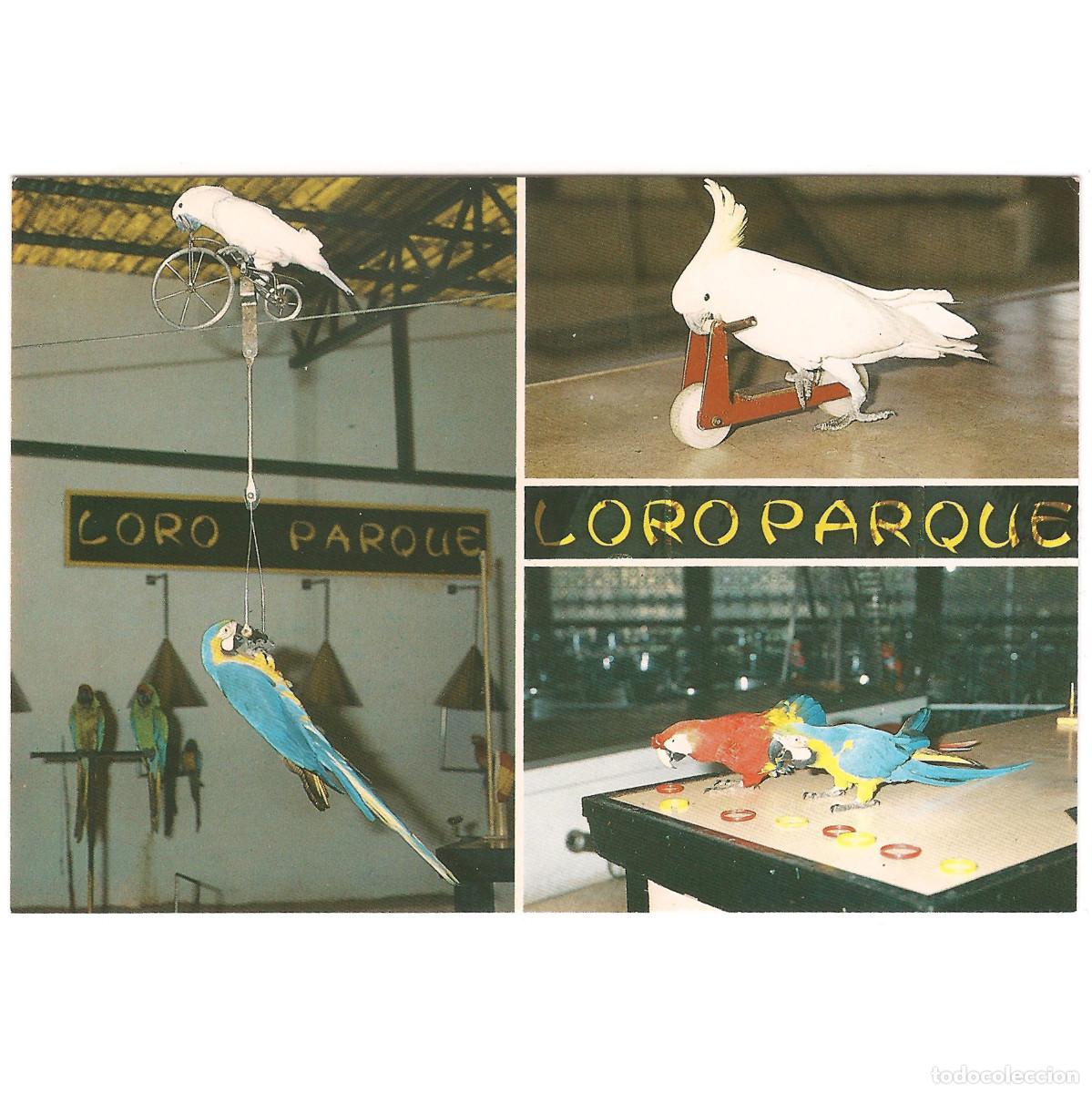 Postales: 126 - PUERTO DE LA CRUZ - LORO PARQUE - TRES MOMENTOS DEL SHOW | Tenerife - Canarias