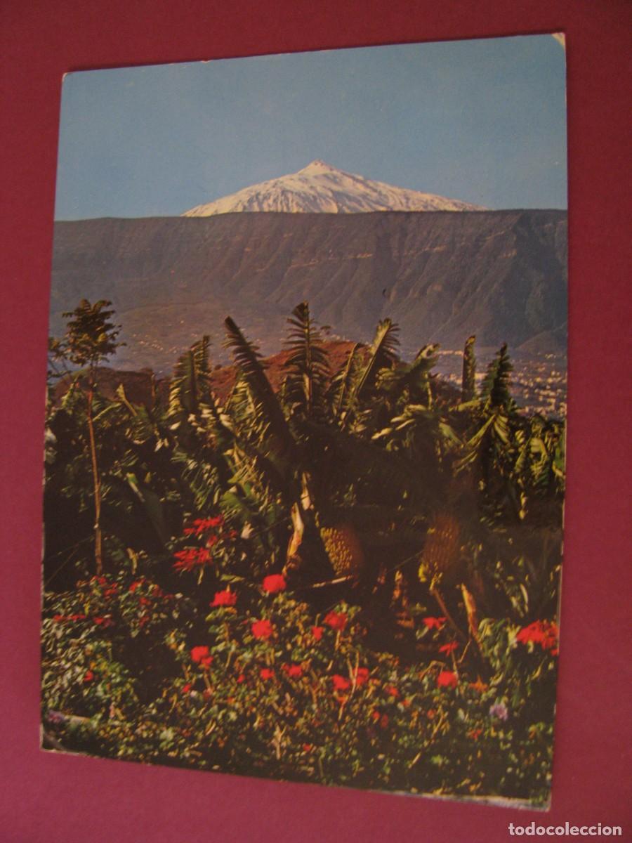 Postales: POSTAL DE TENERIFE. PLANTACIONES DE PLATANOS Y TEIDE AL FONDO. RO FOTO. CIRCULADA 1972