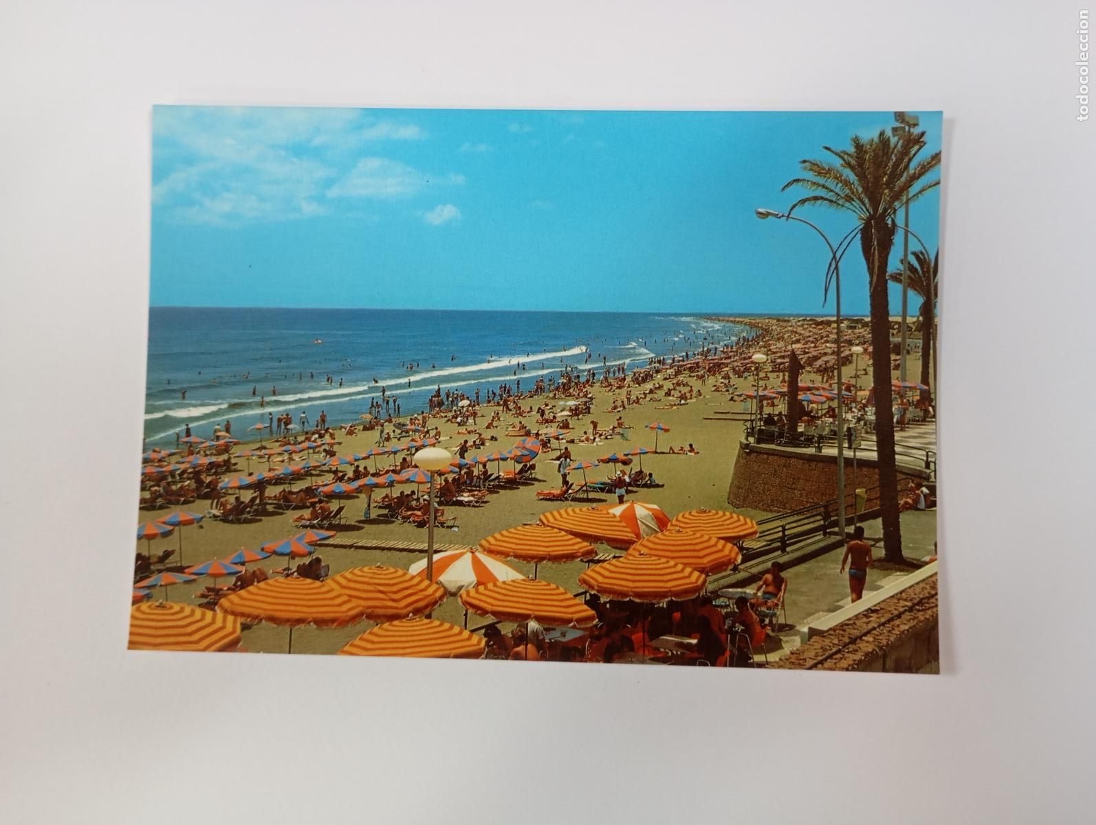 Postales: POSTAL DE GRAN CANARIA. PLAYA DEL INGL&Eacute;S. TDKP29L