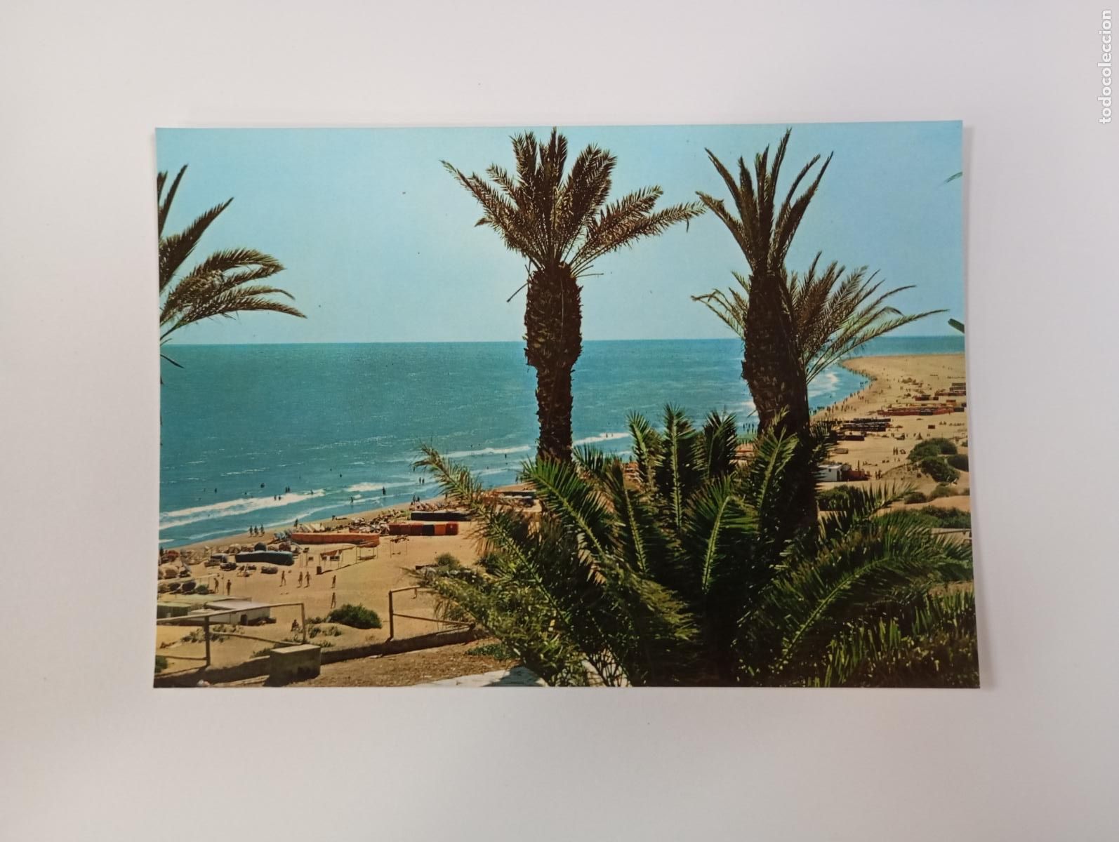 Postales: POSTAL DE GRAN CANARIA. PLAYA DEL INGL&Eacute;S. TDKP29L