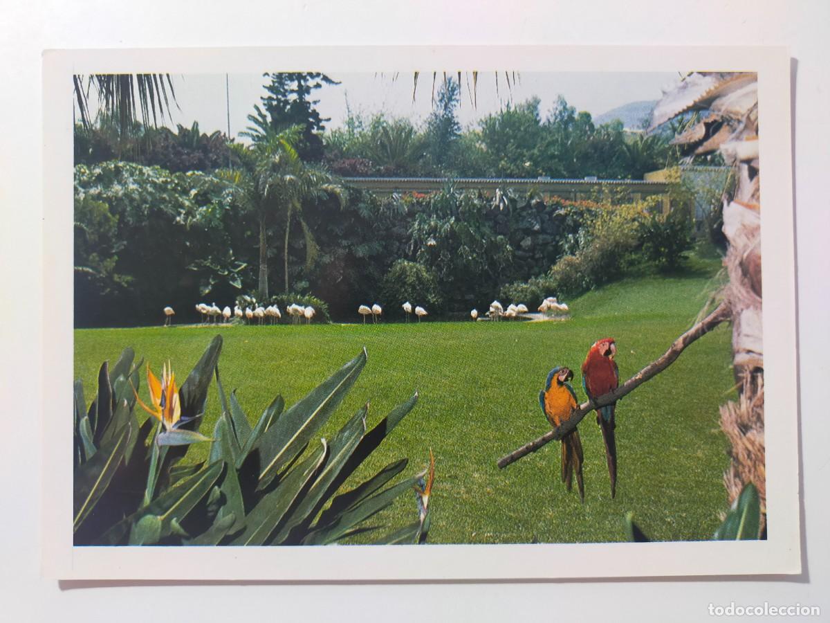 Postales: Postal. PUERTO DE LA CRUZ (TENERIFE): Parque Atracciones Loro Park - Edit: John Hinde