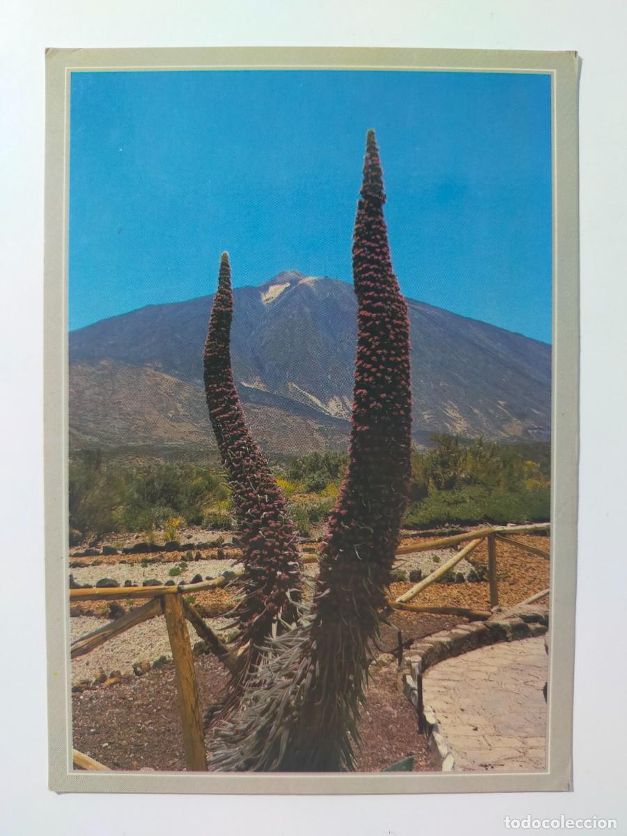 Postales: Postal. TENERIFE: El Teide - Edic. Sol y Nieves.