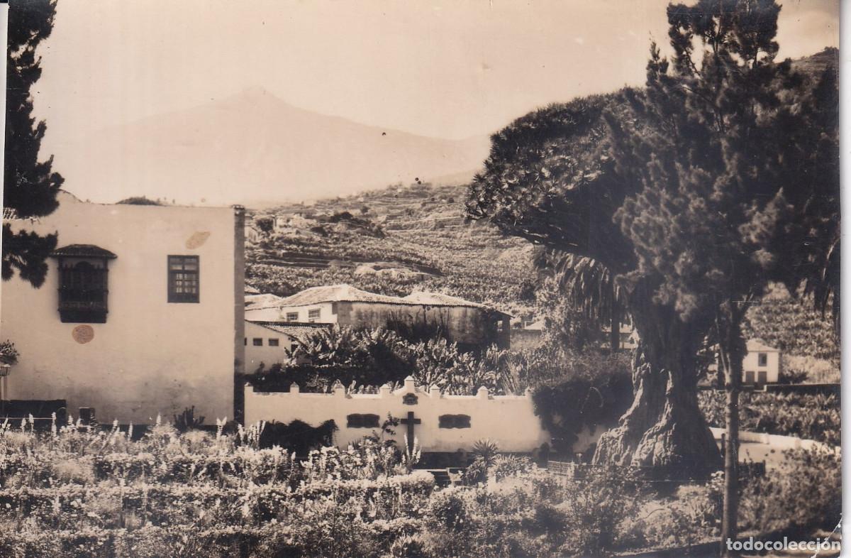 Postales: TENERIFE ICOD DE LOS VINOS EL DRAGO