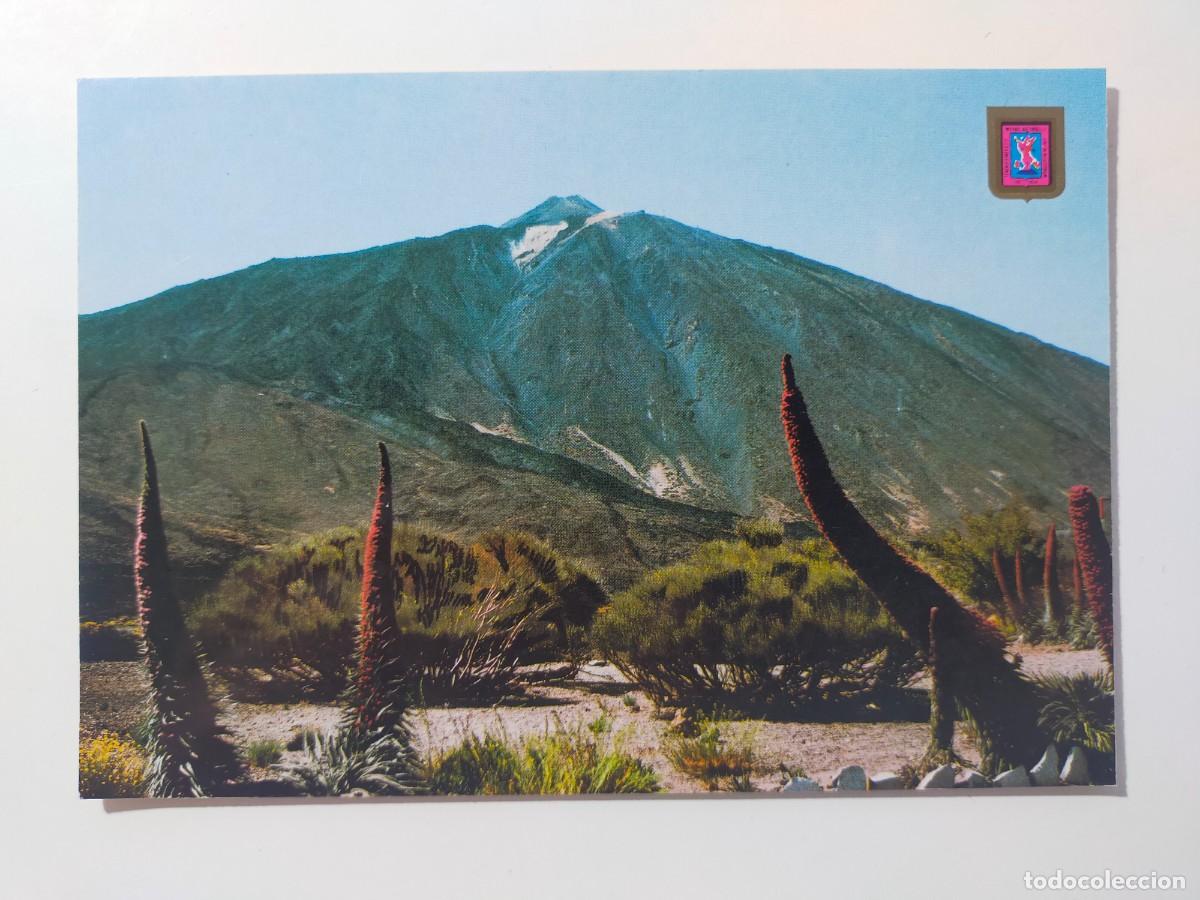 Postales: Postal. TENERIFE: Teide. F. Tajinaste - Edic FISA, Escudo de Oro.