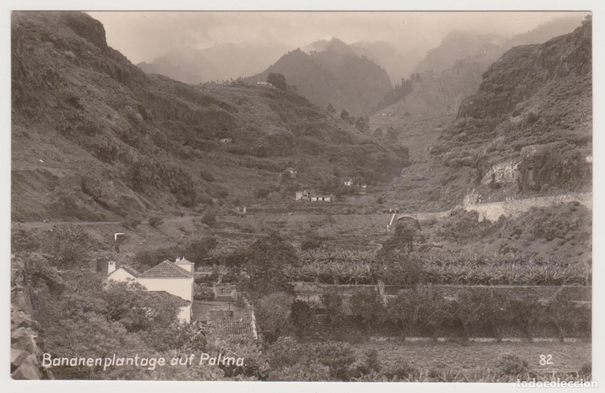 Postales: TARJETA POSTAL - BANANEN PLANTAGE AUF PALMA - N&ordm; 82