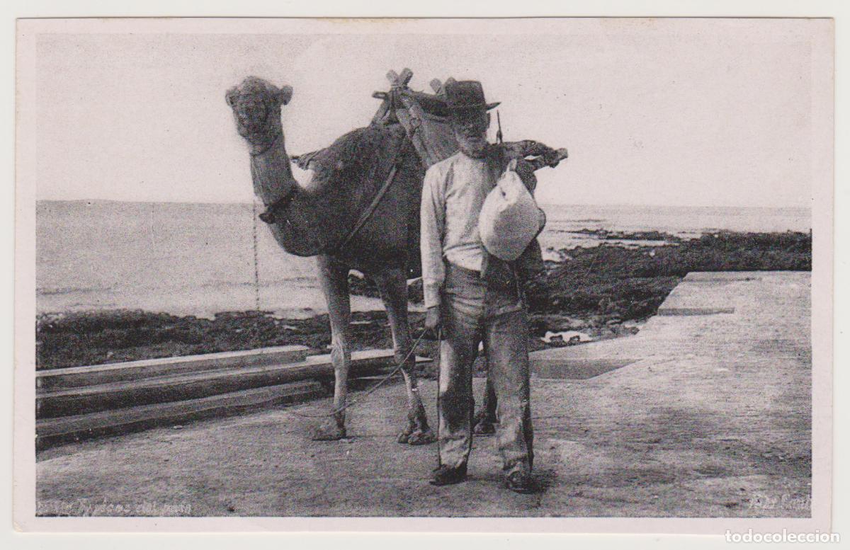 Postales: TARJETA POSTAL - TENERIFE - TYPICOS DEL PAIS - N&ordm; 25