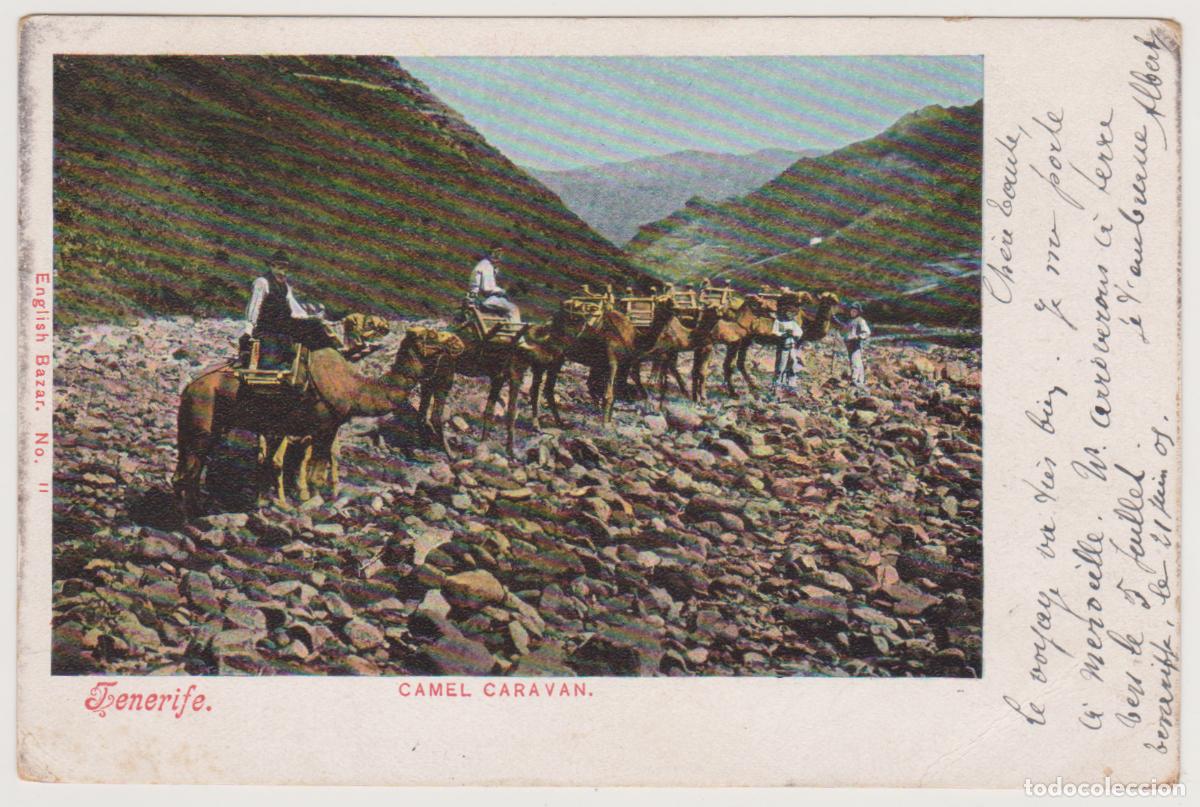 Postales: TARJETA POSTAL - TENERIFE - CAMEL CARAVAN - N&ordm; 11 - ENGLISH BAZAR