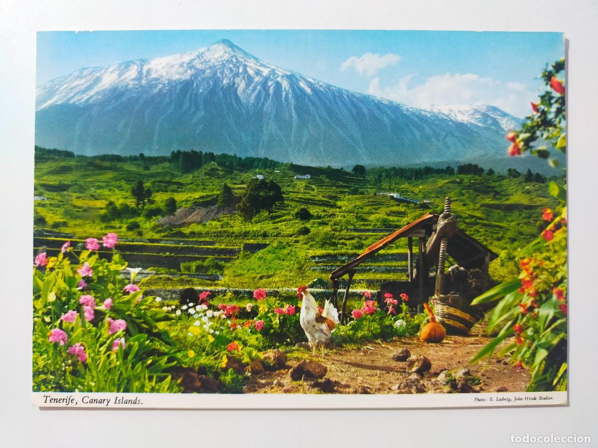 Postales: Postal. TENERIFE: Teide y campi&ntilde;a de Icod de los Vinos - Edit: John Hinde - Escrita