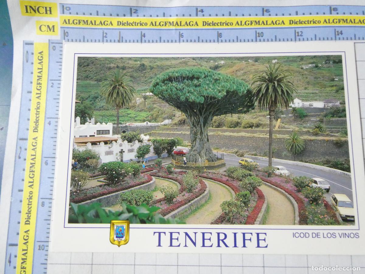 Postales: POSTAL DE TENERIFE. A&Ntilde;O 1987. ICOD DE LOS VINOS VISTA DEL DRAGO 340 ESCUDO ORO. 2603