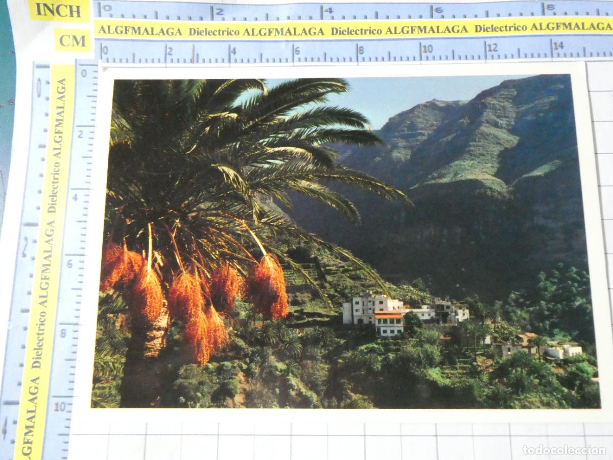 Postales: POSTAL DE LA GOMERA. VALLE GRAN REY LOMO DE BALO. FOTO ANDY. 2620