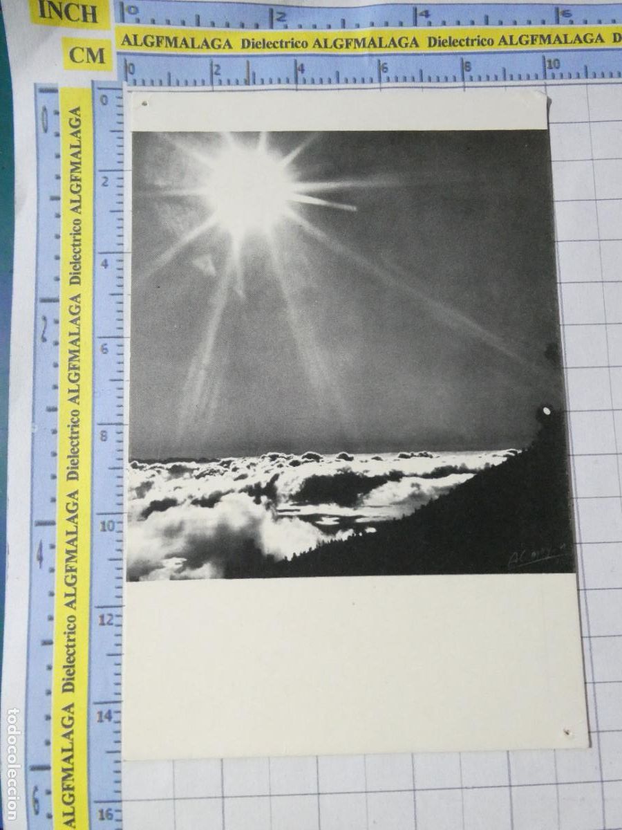 Postales: POSTAL DE ISLAS CANARIAS. SOL EN CANARIAS POR ANTONIO CAMOY&Aacute;N. GRAFICAS DEL SUR. 2628
